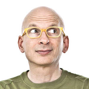 Seth Godin