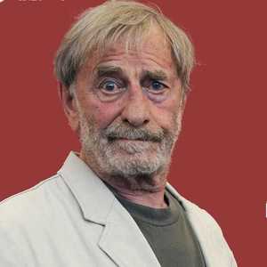 Giulio Questi