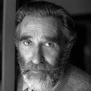 Mario Rigoni Stern
